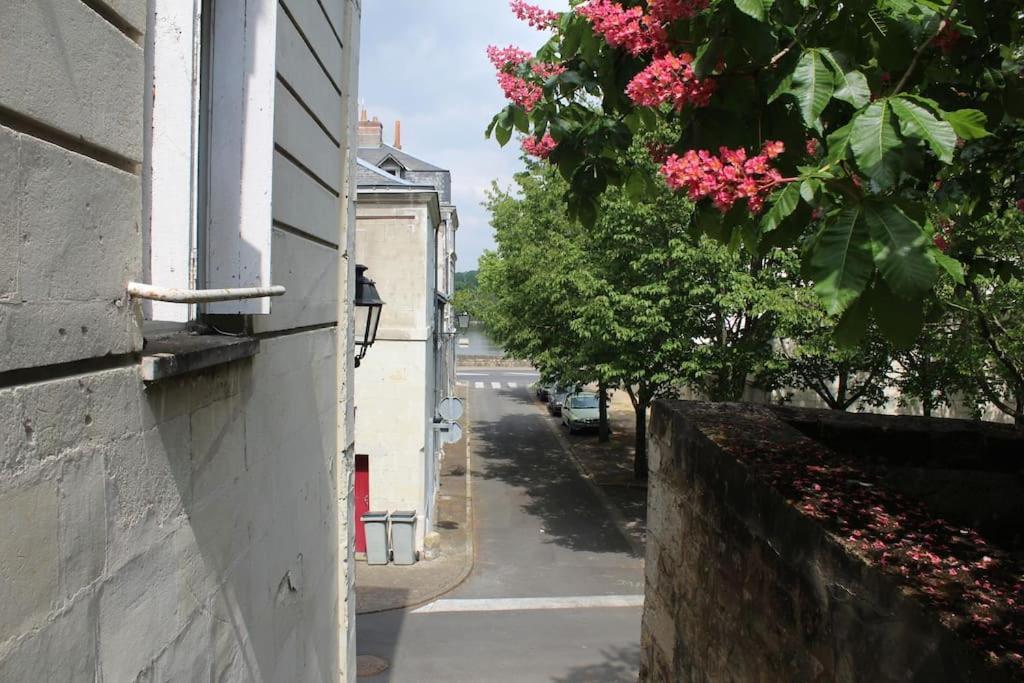 Appartement Calme Proche De La Loire Сомюр Екстер'єр фото